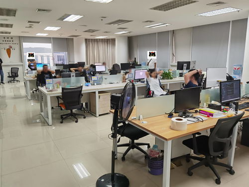 技術開發(fā)成幫兇，浠水警方雷霆出擊斬斷涉詐APP黑色產(chǎn)業(yè)鏈